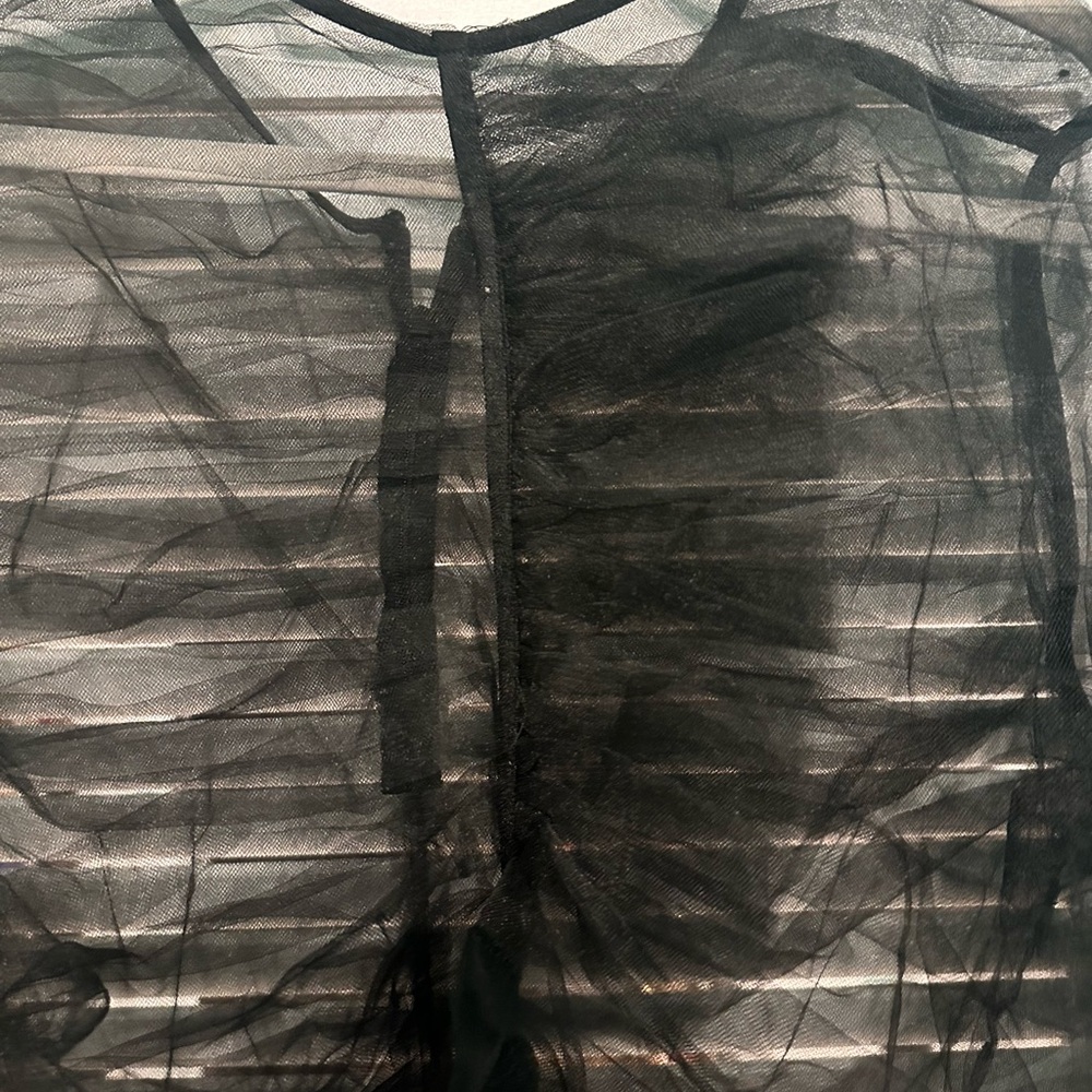 Black Sheer Ruffled Top - Picture 2 of 3
